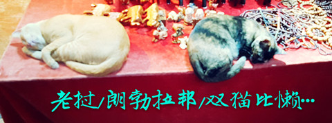 考察联赛场地   保障联赛质量